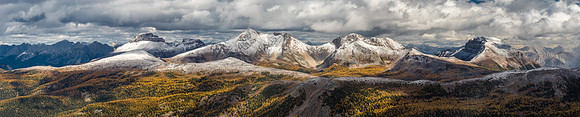 Incredible larch scenery with the Massive Range including Pilot, Brett, Black Brett and Bourgeau in the background.