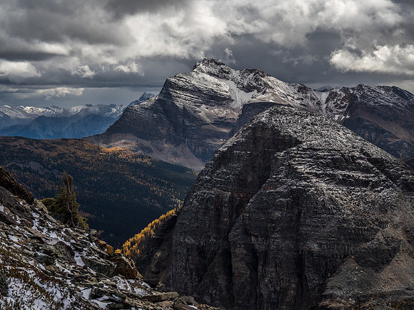 The Monarch does NOT look friendly today! Note the brilliantly lit larch forest coming off Sugarloaf in the foreground.