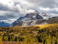 Yikes. My camera starts to overheat at the scene of a larch forest and The Monarch.