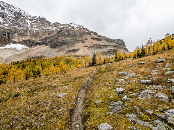 Looking back at Whistling Pass as I start my long exit.