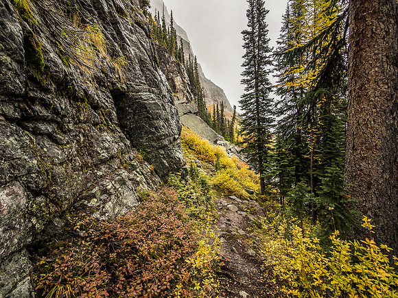 The descent trail.