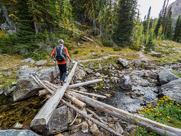 The makeshift bridge over the outlet stream from Scarab Lake.