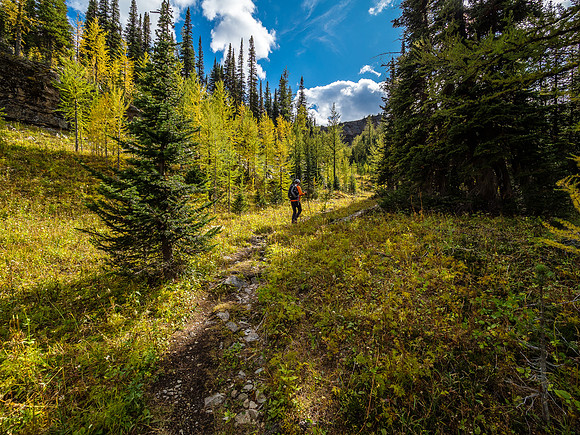 Shadows are already getting long as we start the uphill trudge from Scarab Lake to Sugarloaf.