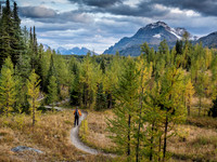 Marching down the trail, exiting the Healy Meadows.
