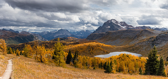 The Monarch over the Ramparts and Healy Meadows with larches.