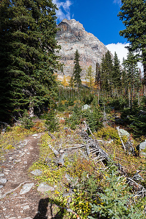 Hiking to Scarab Lake.