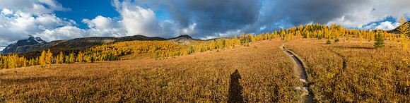 Hiking through the Healy Meadows to Healy Pass in Larch Heaven.
