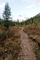 Hiking up the Healy Creek trail.