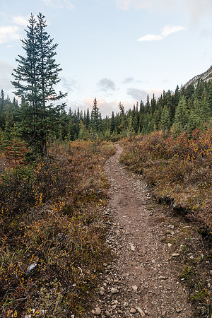 Hiking up the Healy Creek trail.
