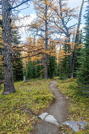 Hiking down to Pharaoh Creek from Healy Pass.