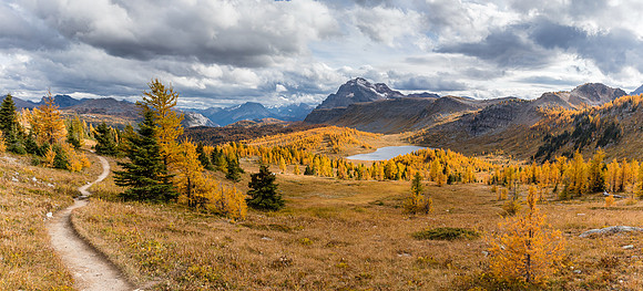 The Monarch over the Ramparts and Healy Meadows with larches.