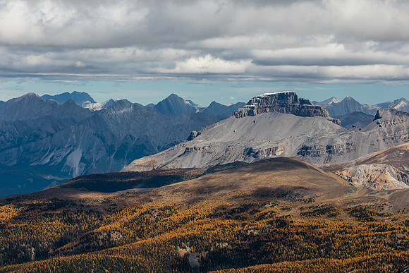 Pilot Mountain and larches.