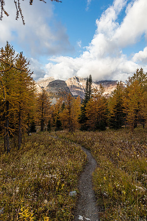 Hiking down to Pharaoh Creek from Healy Pass.
