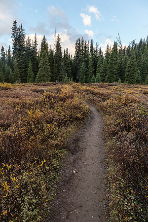 Hiking up the Healy Creek trail.