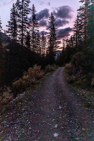 Hiking up the Sunshine road in early morning light.