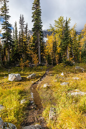 Hiking to Scarab Lake.