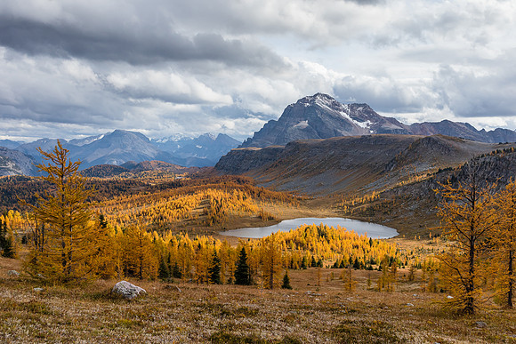 The Monarch over the Ramparts and Healy Meadows with larches.