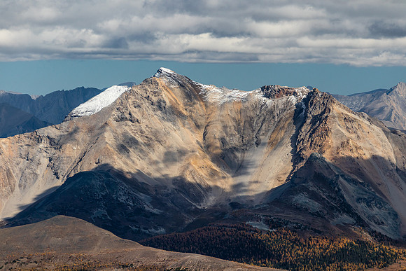Mount Brett and larches.