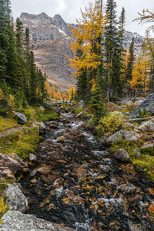 The outlet stream from Scarab to Egypt Lake.