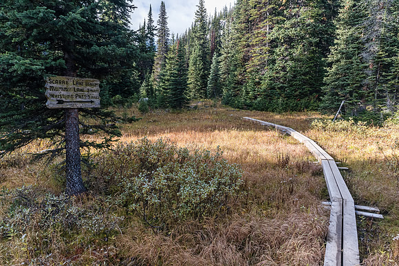 Hiking to Scarab Lake.