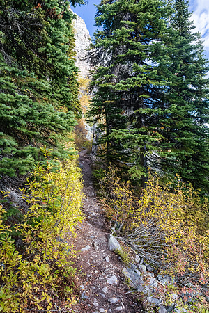 Hiking to Scarab Lake.