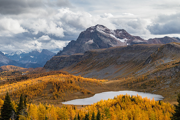 The Monarch over the Ramparts and Healy Meadows with larches.