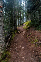 Hiking up the Healy Creek trail.