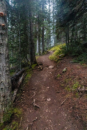 Hiking up the Healy Creek trail.