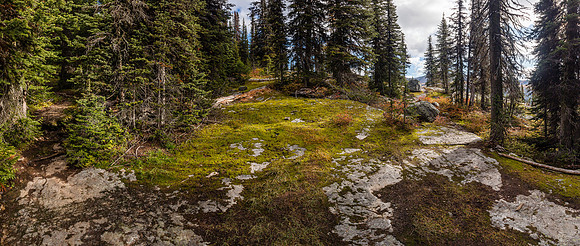 Hiking to Scarab Lake.