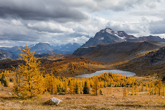 The Monarch over the Ramparts and Healy Meadows with larches.