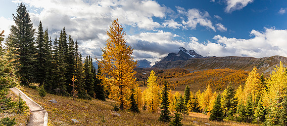 Hiking through the Healy Meadows to Healy Pass in Larch Heaven.