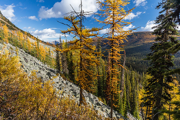 Hiking to Scarab Lake.