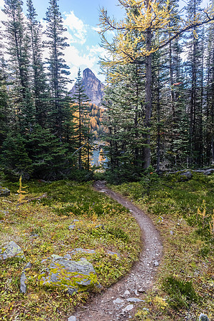 Hiking to Scarab Lake.