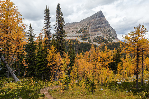 Back on the trail leading down to Scarab Lake.