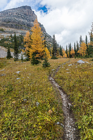 Exiting down to Pharaoh Creek.