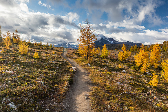 Hiking down to Pharaoh Creek from Healy Pass.