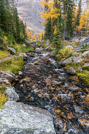 The outlet stream from Scarab to Egypt Lake.