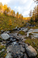 Hiking through the Healy Meadows to Healy Pass in Larch Heaven.