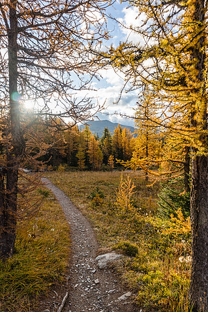 Hiking through the Healy Meadows to Healy Pass in Larch Heaven.