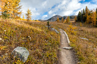 Hiking through the Healy Meadows to Healy Pass in Larch Heaven.