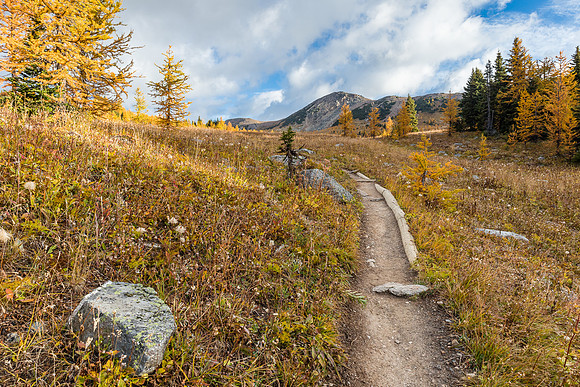 Hiking through the Healy Meadows to Healy Pass in Larch Heaven.