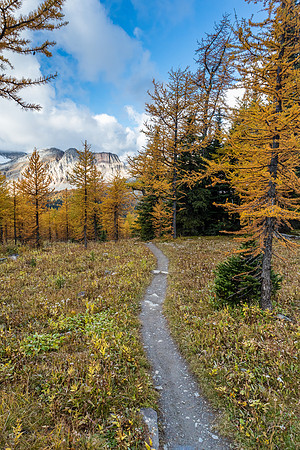 Hiking down to Pharaoh Creek from Healy Pass.