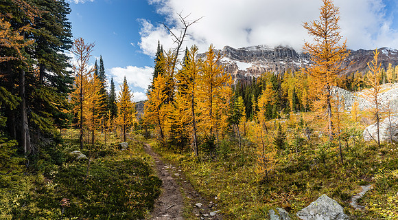 Hiking to Scarab Lake.