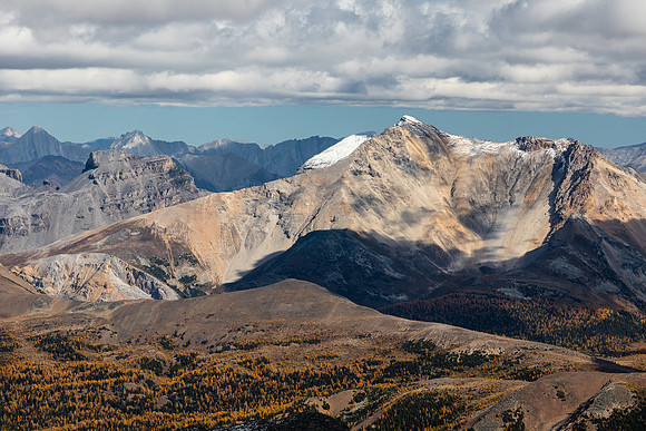 Mount Brett and larches.