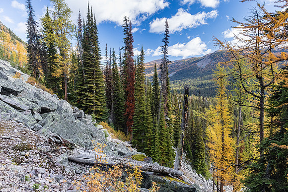Hiking to Scarab Lake.