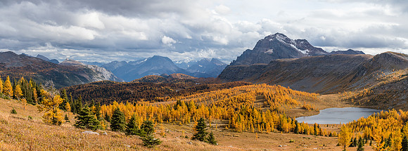 The Monarch over the Ramparts and Healy Meadows with larches.