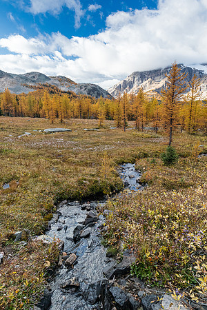 Hiking down to Pharaoh Creek from Healy Pass.