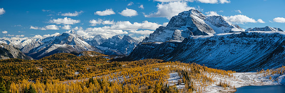 Hiking down from Healy Pass to the Healy Creek trail. Stunning larch views to The Monarch.