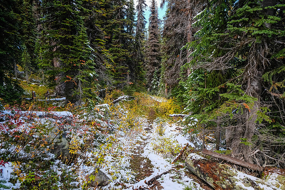 Descending the Talc Lake trail.