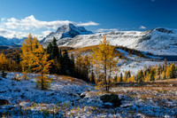Hiking up to Healy Pass through a forest of larches. Views of The Monarch and Ramparts.